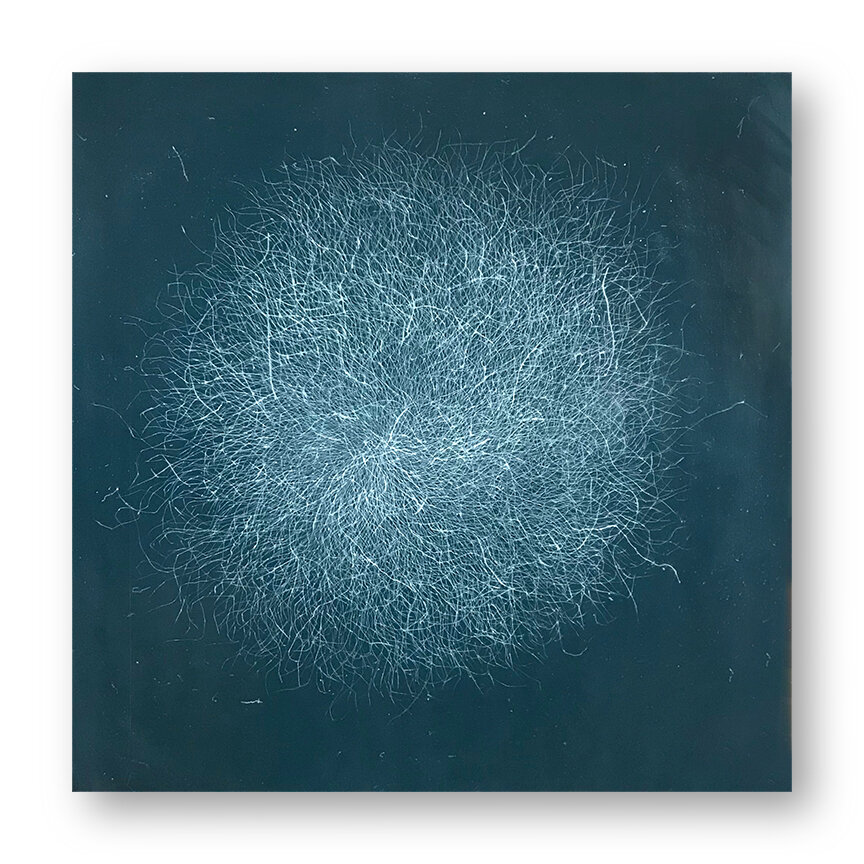  Tumble AM, 2020 Encaustic, Oil 30 x 30 x 1.75 inches on panel   The Tumble series is a result of my attraction to the ephemeral, to the contrast between complexity and evanescence.  Inspired by my love for brambles, branches, tumbleweeds and knife p