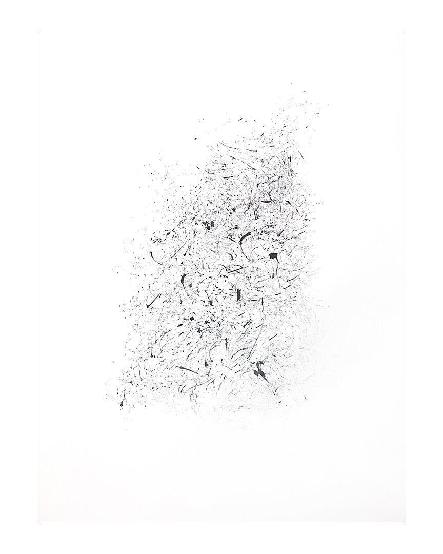  Effervescence, 2020 India Ink on Somerset 30 x 22 inches  The Unfettered Series is created using the trim waste from brochures retrieved from a printer: when dipped in ink and dragged along a surface, these thin strips of paper become mark-making to