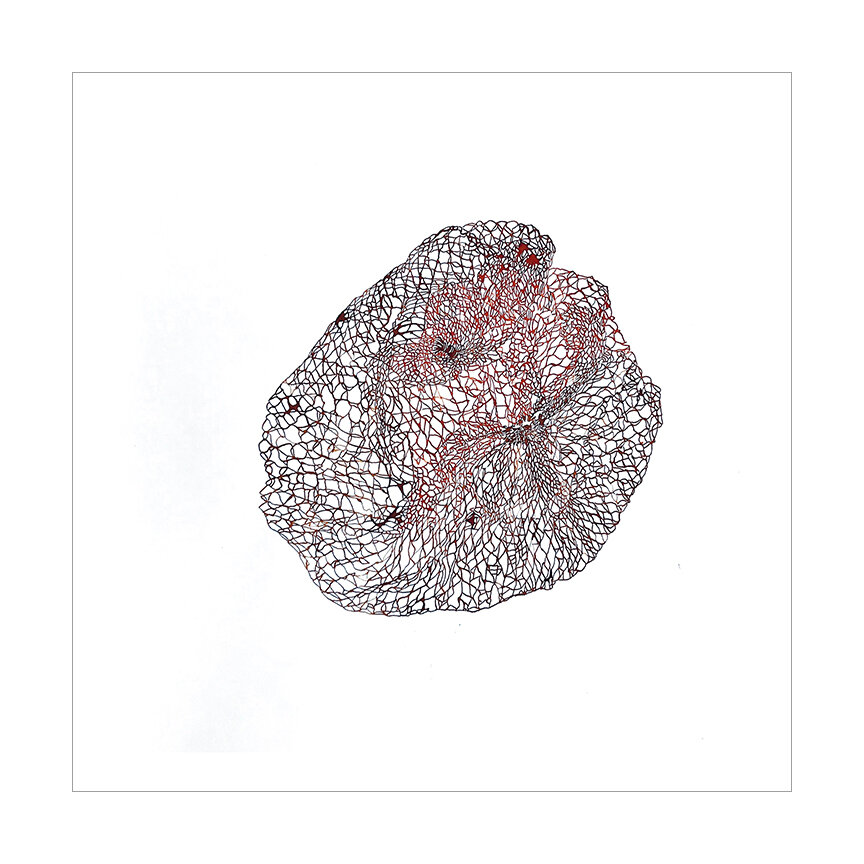  Netted Bag X, 2019 (sold) Watercolor on Somerset 14.75 x 14.75 inches  I’m attracted to mundane and discarded everyday materials. Netted fruit bags have been a recurring obsession, and I love losing myself in the process of drawing the tangle of lin