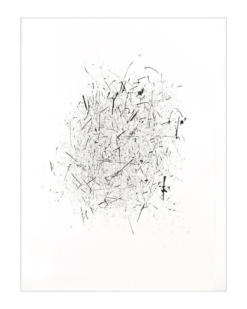  Abandon, 2020 (sold) India Ink on Somerset 30 x 22 inches  The Unfettered Series is created using the trim waste from brochures retrieved from a printer: when dipped in ink and dragged along a surface, these thin strips of paper become mark-making t