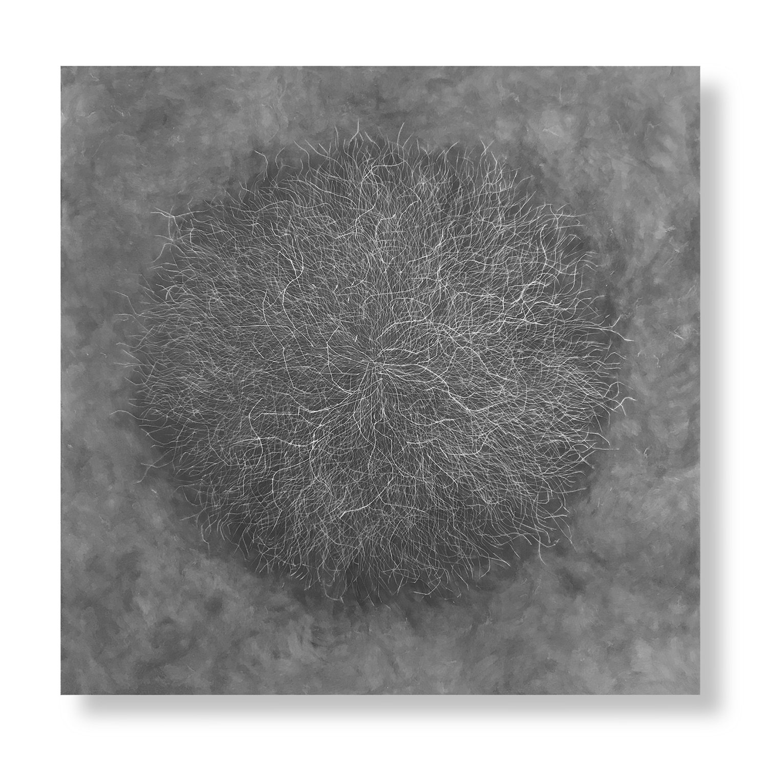 Tumble 8, 2020 (NA) Encaustic, Oil 40 x 40 x 1.75 inches on panel The Tumble series is a result of my attraction to the ephemeral, to the contrast between complexity and evanescence. Inspired by my love for brambles, branches, tumbleweeds and knif