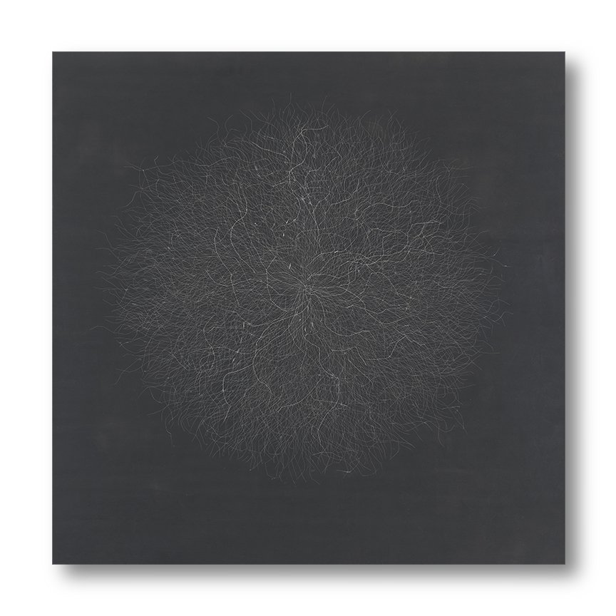 Tumble 8b, 2020 (sold) Encaustic, Oil 40 x 40 x 1.75 inches on panel The Tumble series is a result of my attraction to the ephemeral, to the contrast between complexity and evanescence. Inspired by my love for brambles, branches, tumbleweeds and k