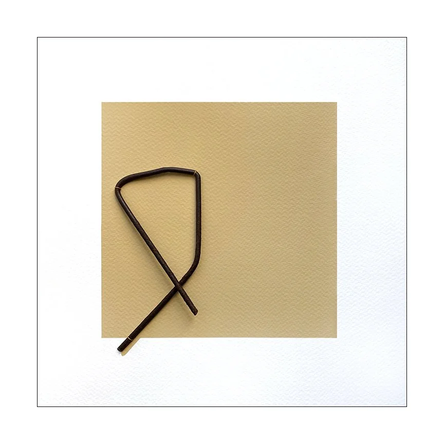 Foraged #21, 2023 Found garden stakes, gouache, thread on paper 10.5 x 10.5 inches Placing an object into a new context can have a transformative impact: what was previously overlooked now becomes worthy of contemplation, a starting point for a vi