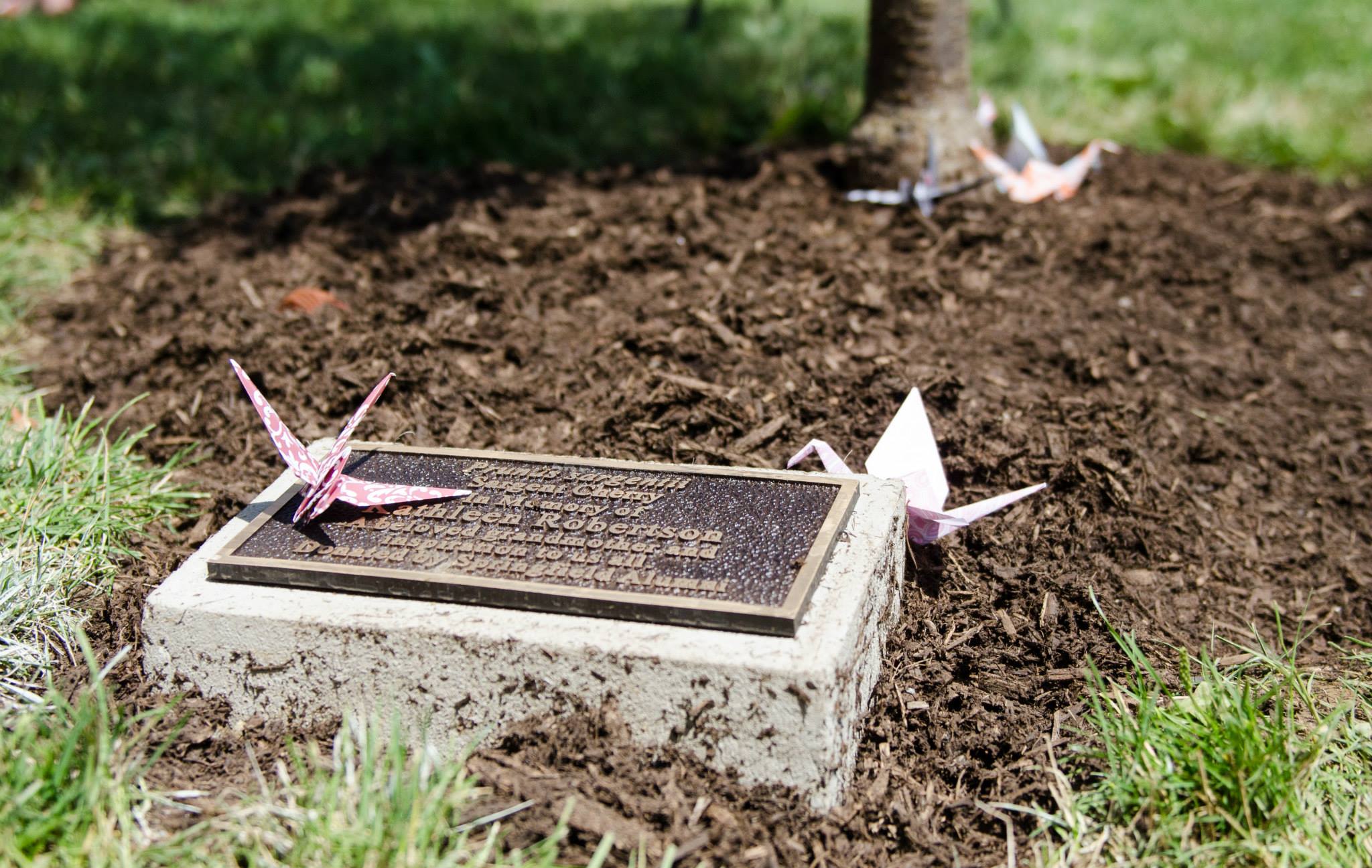  Alumni honoring Kathleen at a summer ceremony  