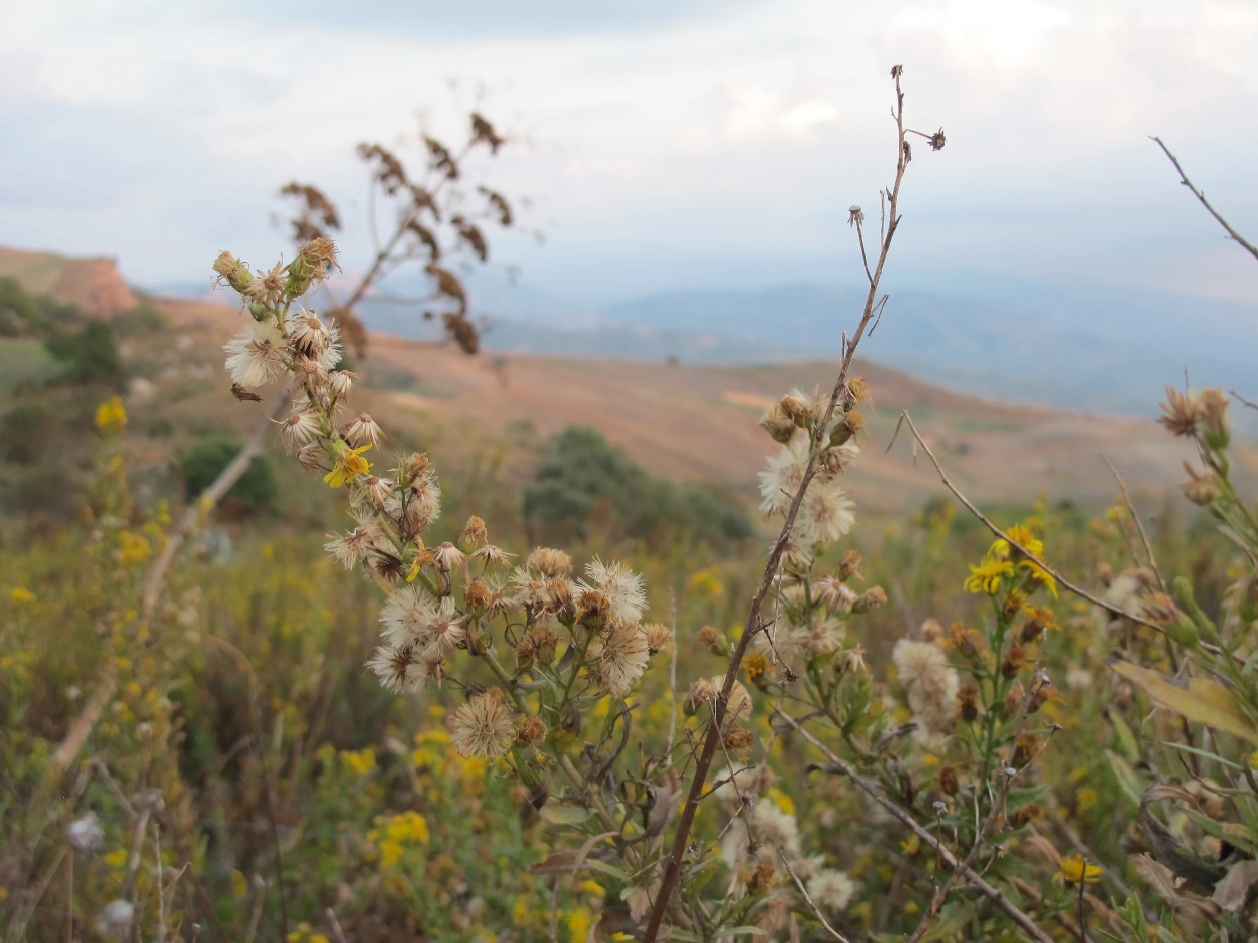mountains of Sambuca di Sicilia
