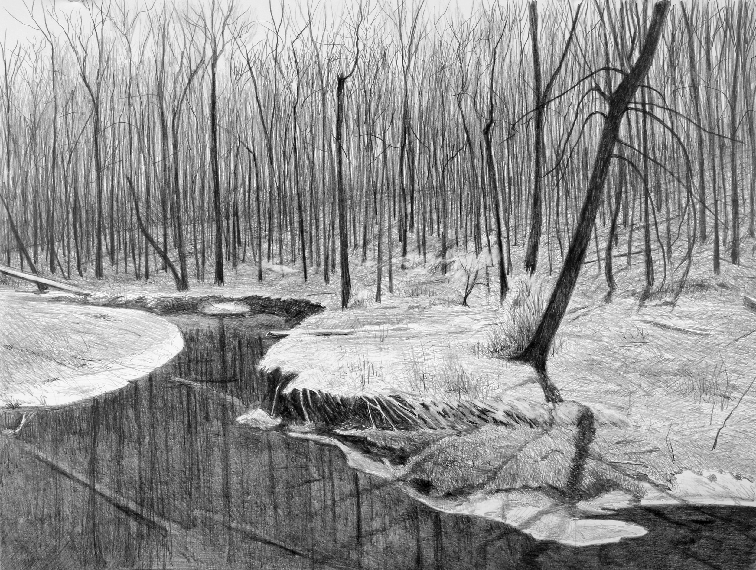 Big Creek pencil 18x24