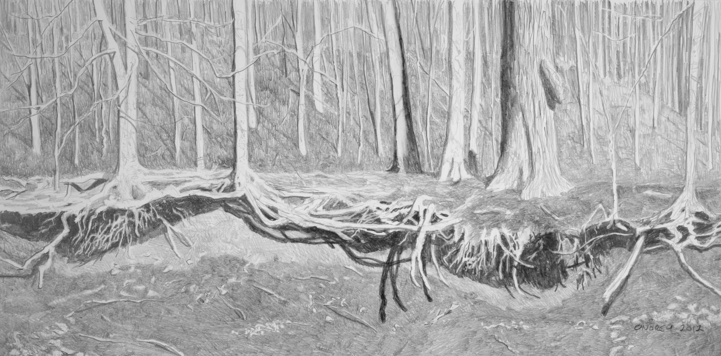 Creekside pencil 9x24"