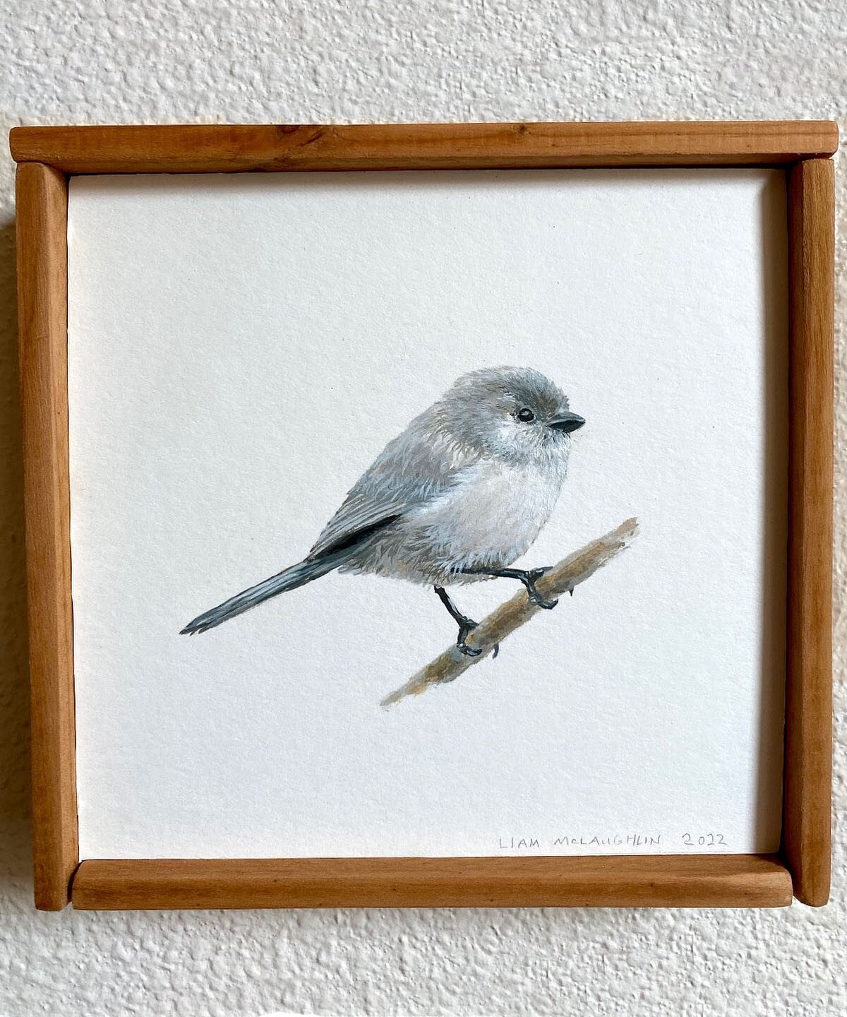 Bushtit! Fun little bird, we had a Bushtit nest in our pussy willow tree a couple years ago #bushtitnest Painting is up for sale at the @97116artshow tonight! It&rsquo;s a grab and go event, take it home tonight! 6-10pm at the old News Times building