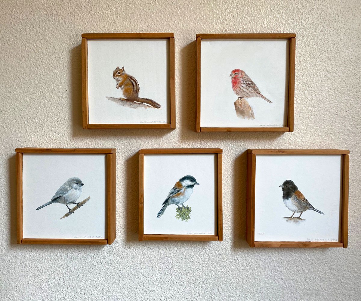 6x6birdcollection.jpg