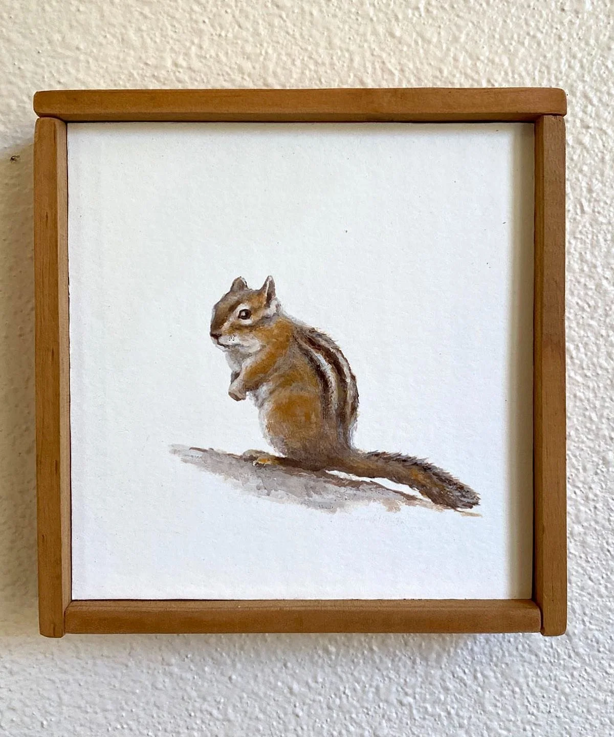6&rdquo;x6&rdquo; Chipmunk painting, up for sale at the @97116artshow on Friday night! #townsendschipmunk #pacificnorthwest #campy #campvibes