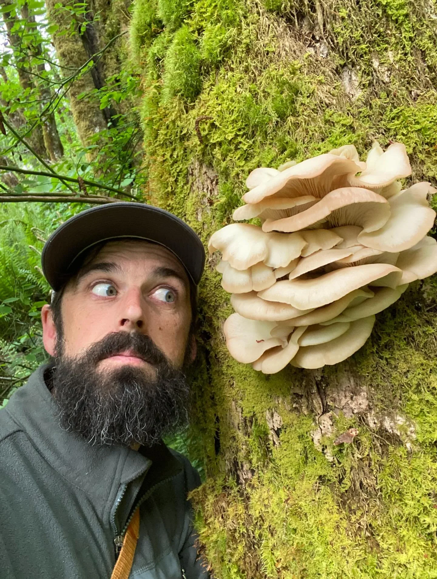 20 pictures for 2025. It was a tough year in all honesty, but I&rsquo;m happy I was able to see more of the natural beauty of the northwest through my wildlife biologist field work. I even got to scare off a bear while hiking alone in remote area! In