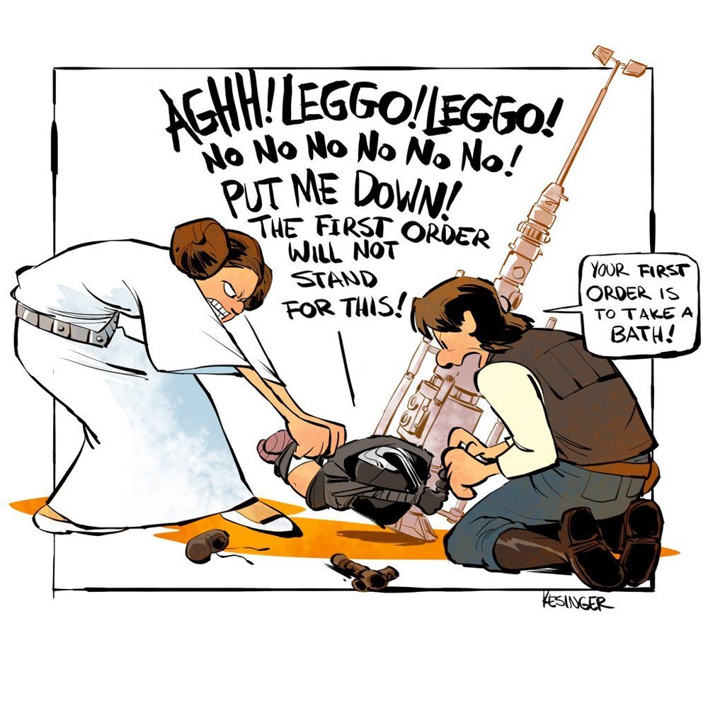 weve-got-more-humorous-calvin-hobbes-star-wars-comic-art2.jpg