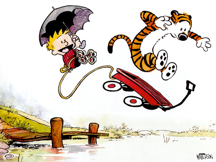 calvin-and-hobbes-12.jpg