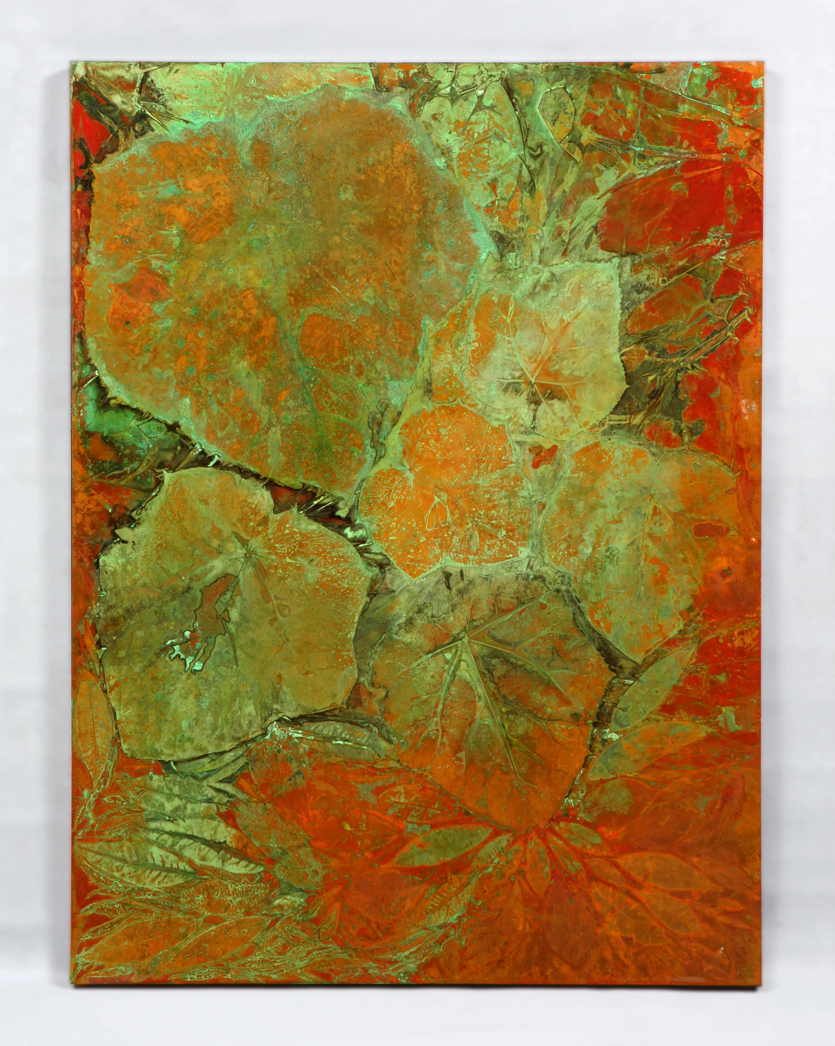 Private Collection: Catalpa VI