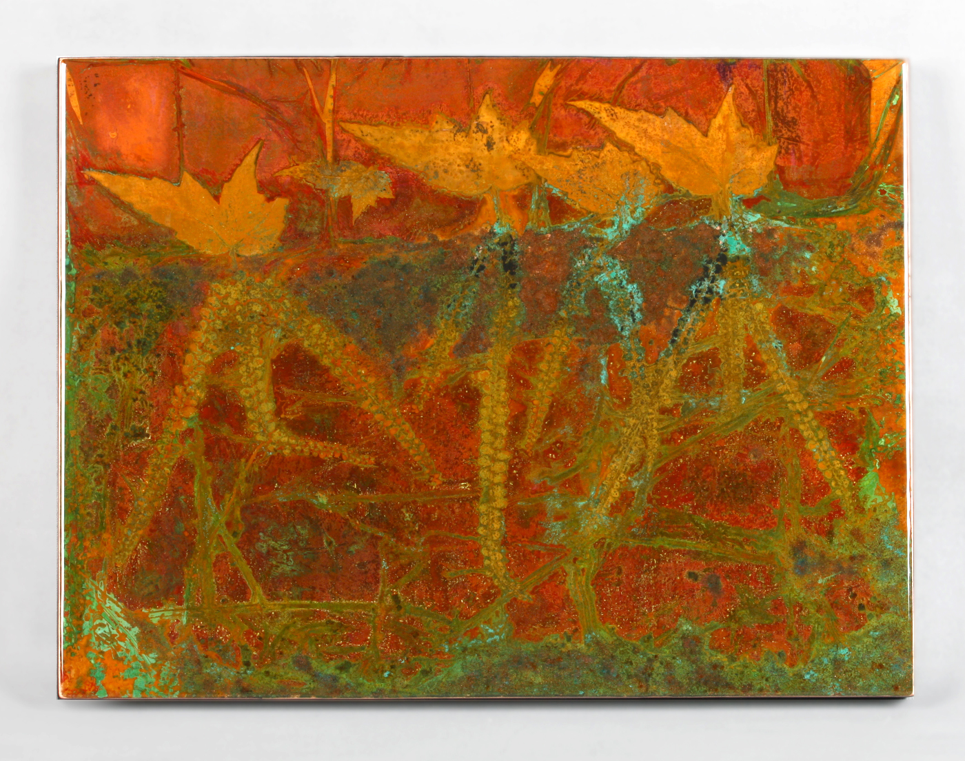Begonia, walking