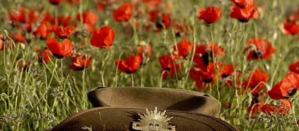 This Anzac Day: Defining the Contemporary Veteran