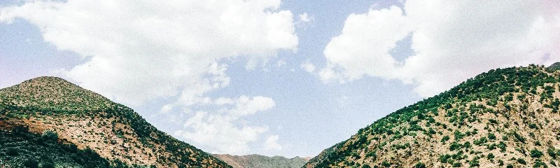 #Reviewing Where Youth and Laughter Go