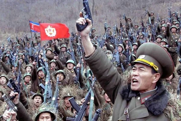 North Korean Arm