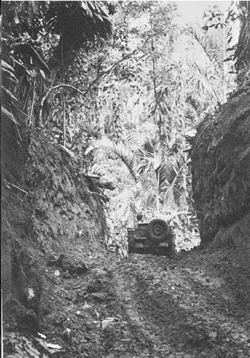 Trail near Zanana Beach, New Georgia, showing the difficult terrain (Source: Cartwheel: the Reduction of Rabaul)