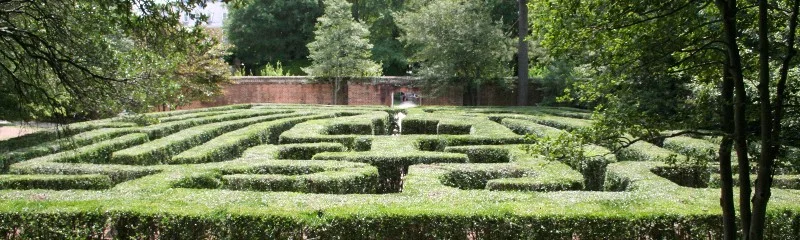 Reflections on the Utility of the Poetic Imagination