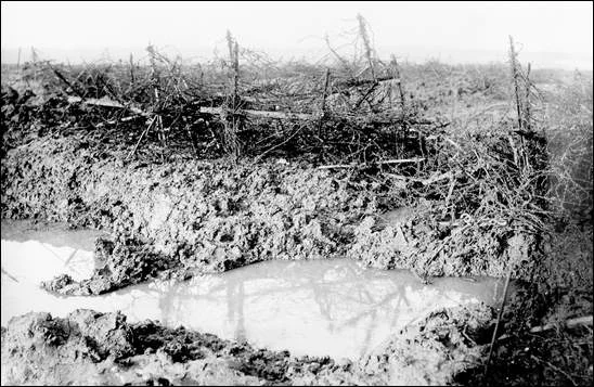 Barbed wire at Beaumont Hamel, 1916. (Newfoundland and Labrador in the First World War)