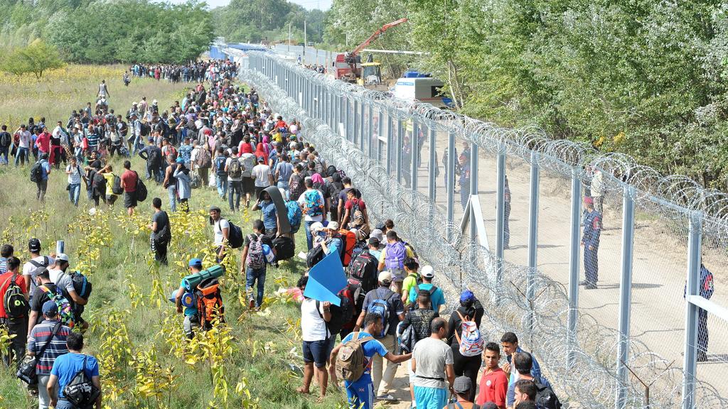 Migrants walking along the razor wire fence at the Serbia-Hungary border in 2015. (Darko Dozet/EPA)
