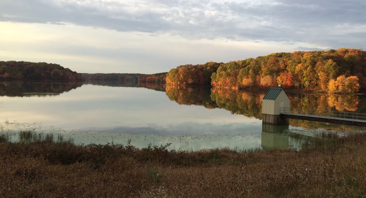 Walden Pond (Boston Magazine)