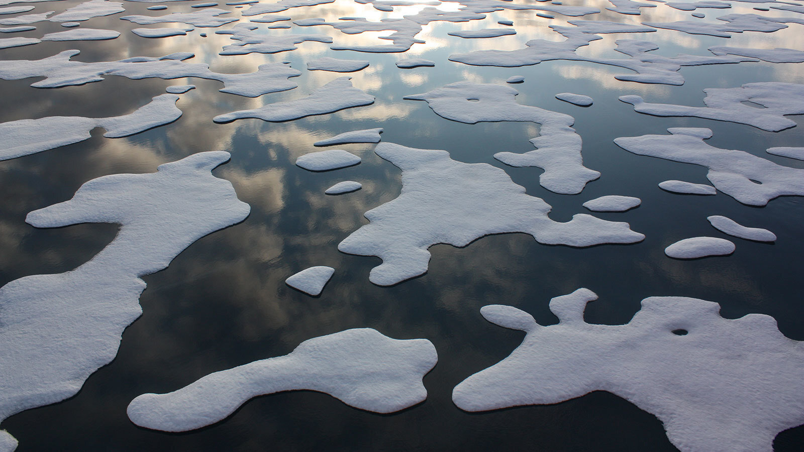Contact, Access  Japan Consortium for Arctic Environmental Research