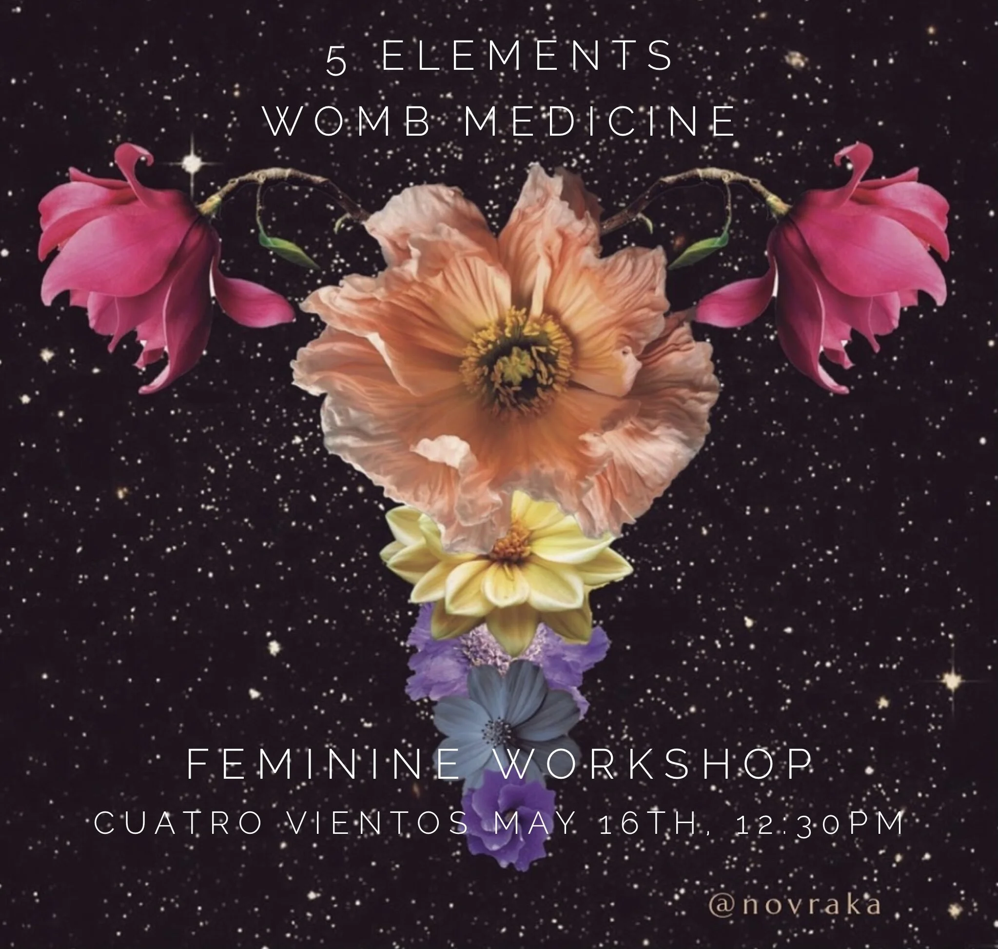 5 Elements Womb Medicine  Feminine Workshop