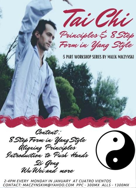 Tai Chi Principles &amp; 8 Step Form in Yang Style Workshop Series 