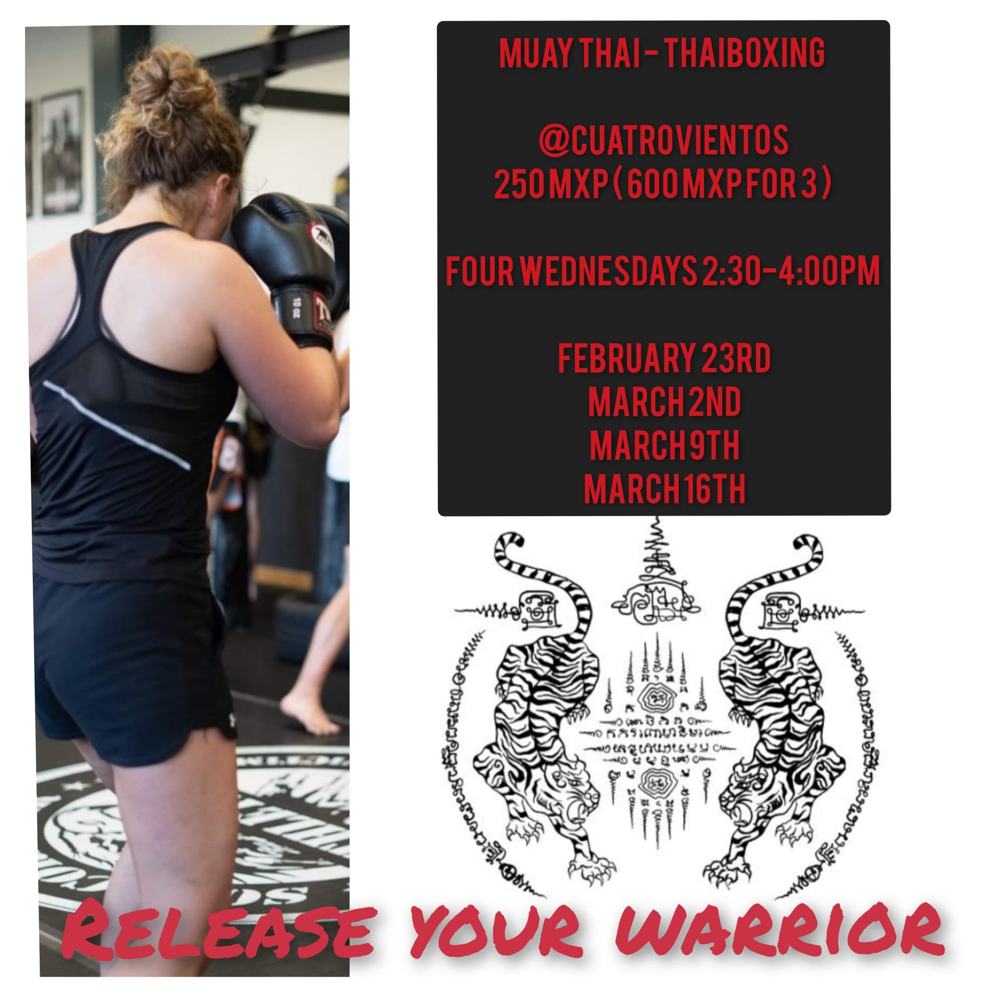 Muay Thai - Thaiboxing - Workshop Series