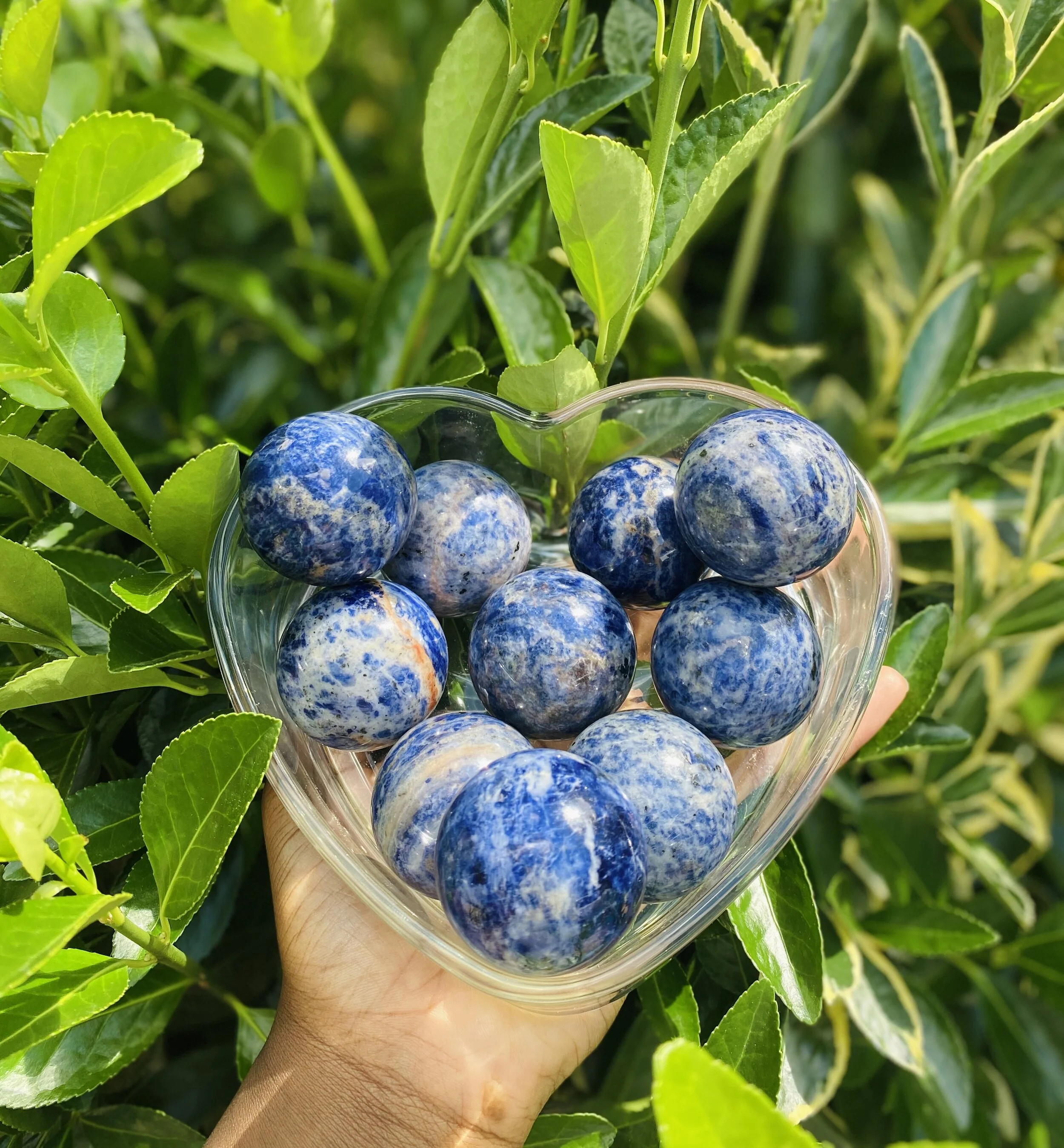 7FFA2AE4-25C3-44E9-8FC9-E7C0CD609DF0