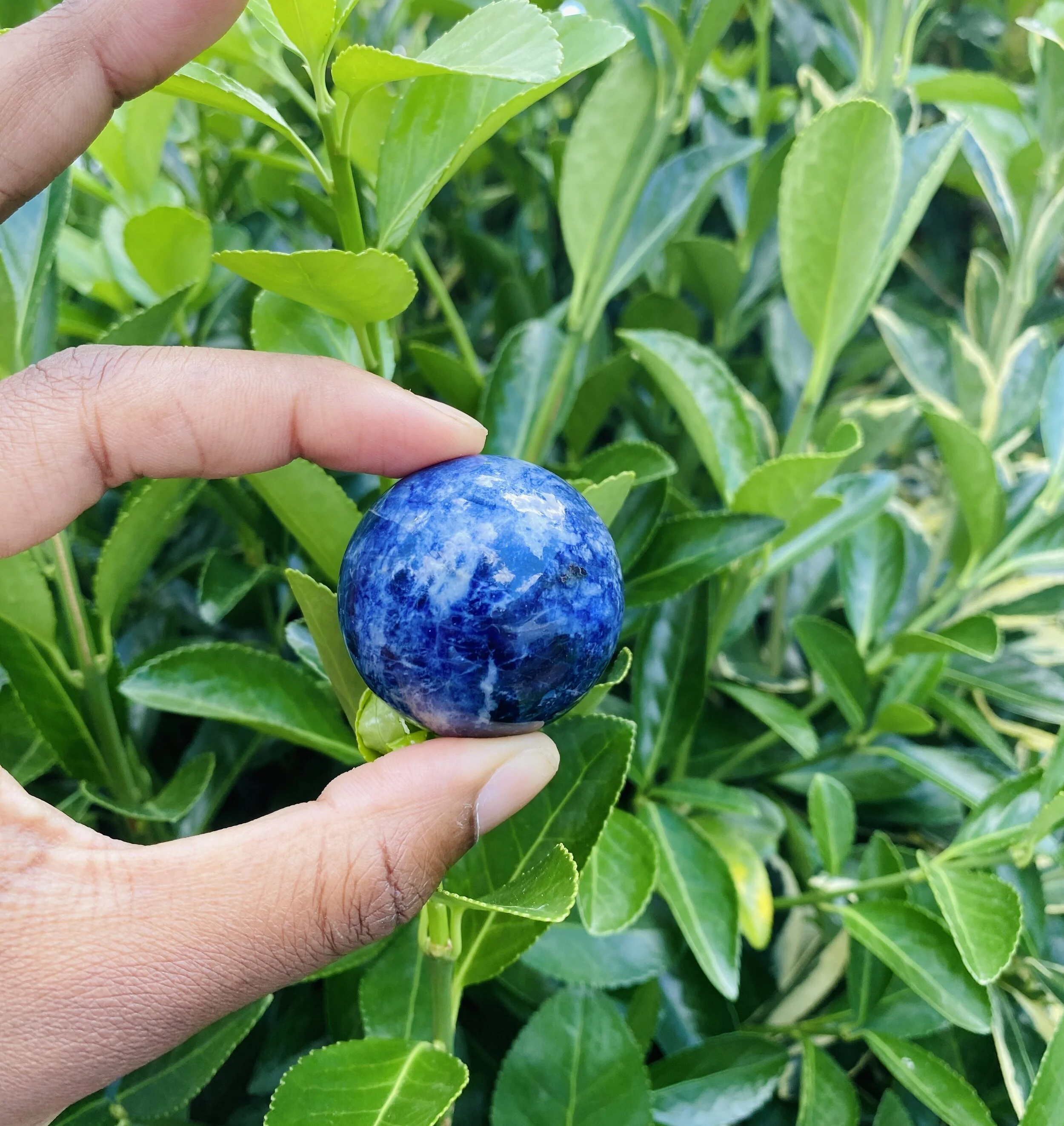 612DAD9C-7564-4827-B0A4-DAE3D7584053