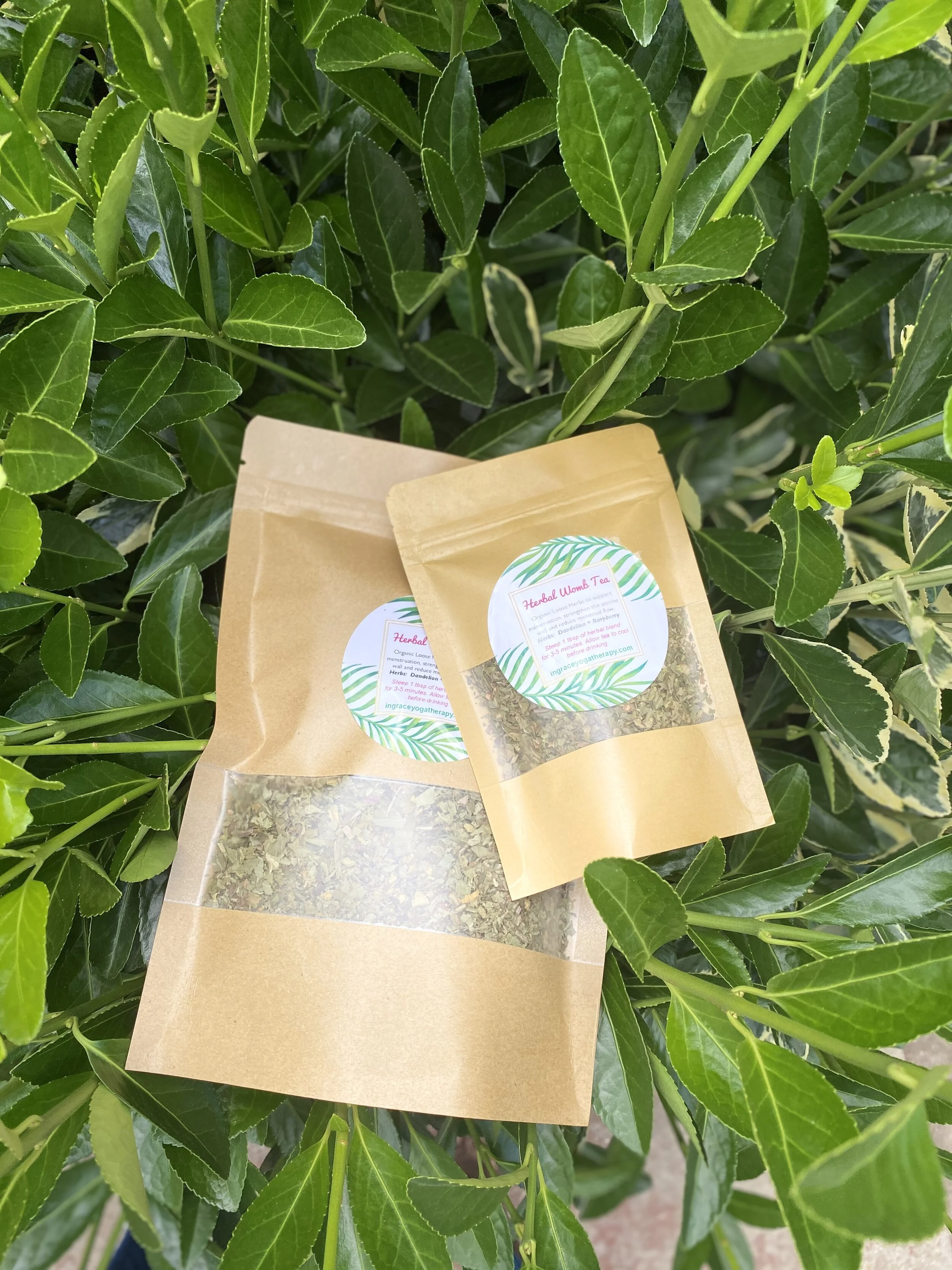 1B7C352E-E216-4987-AFB9-ADF7266D370C