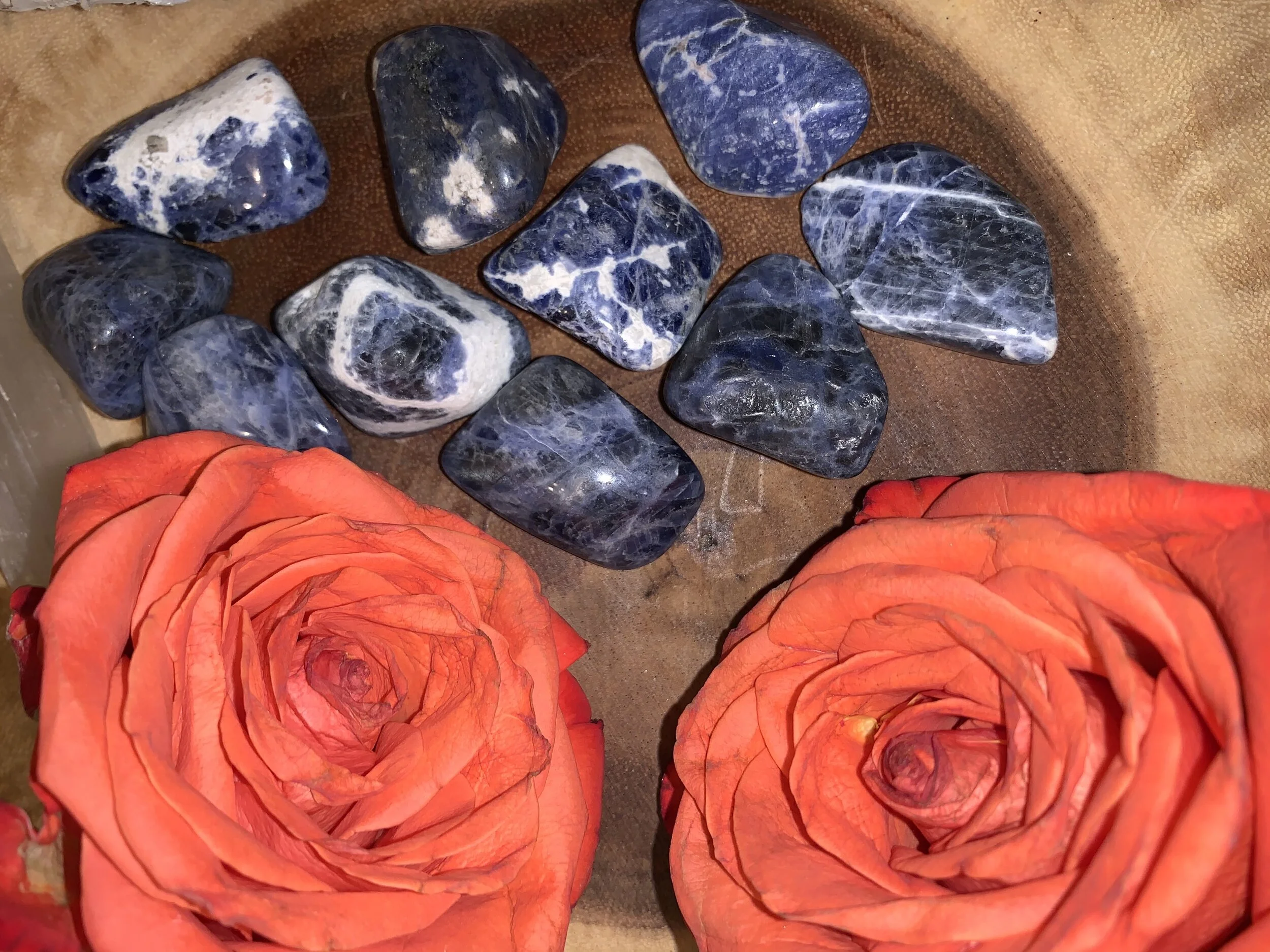 5BFD31C9-C7D3-4A10-8F30-2A67551D36B6