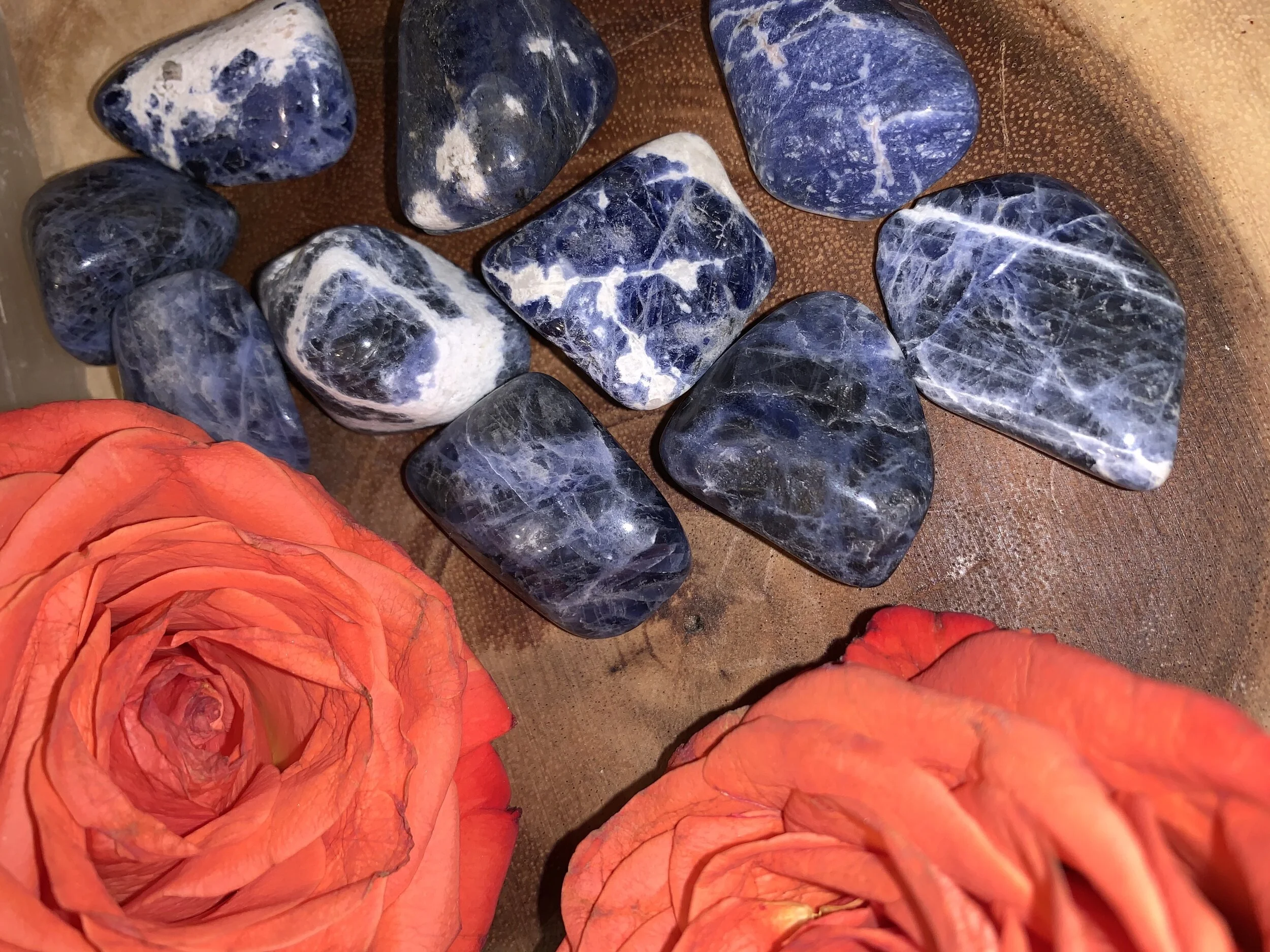 6C69BAB6-A30E-47B3-A223-52335BAD6D5C