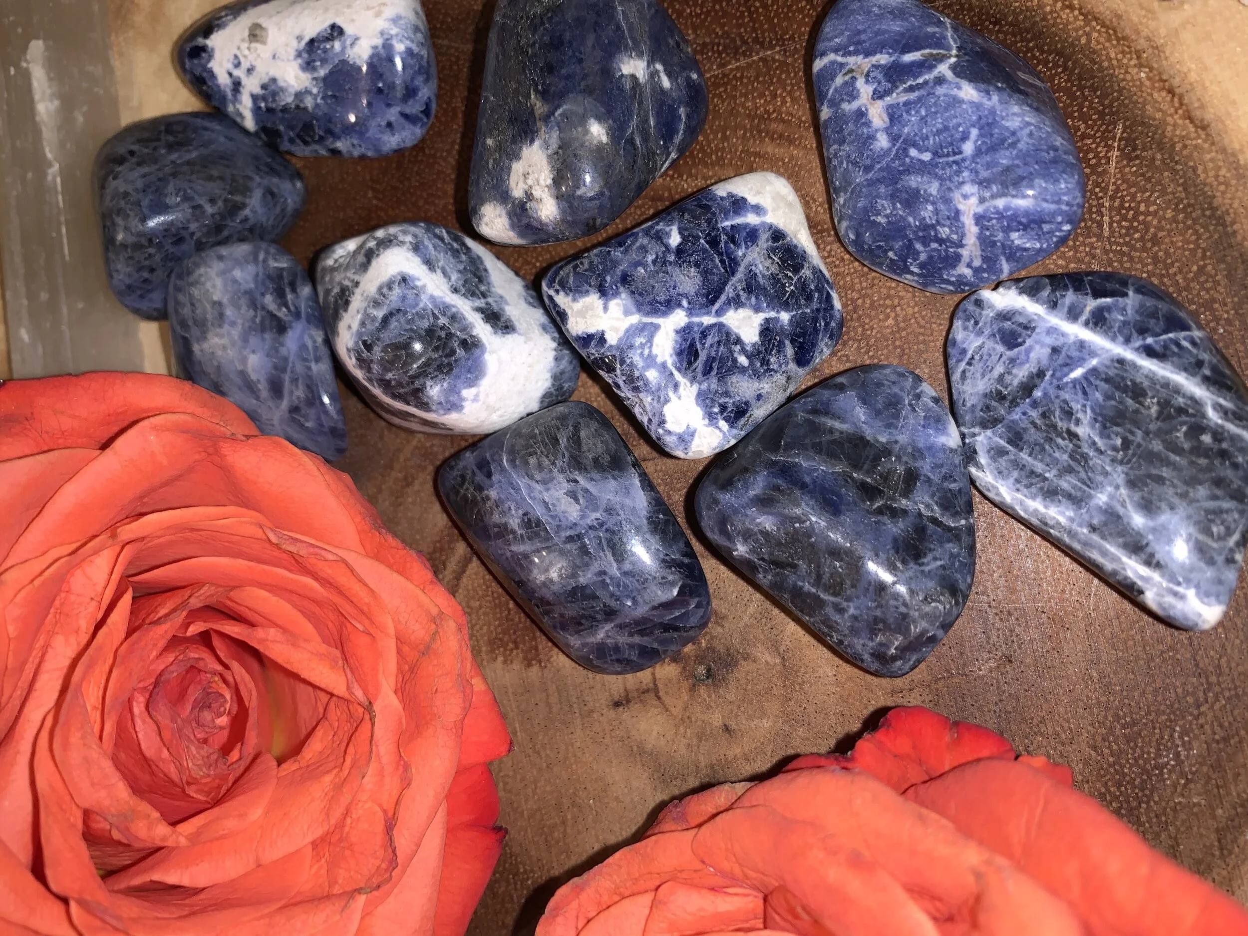 E8222B3F-BF4C-4ED4-8EE3-C0CF5AF63731