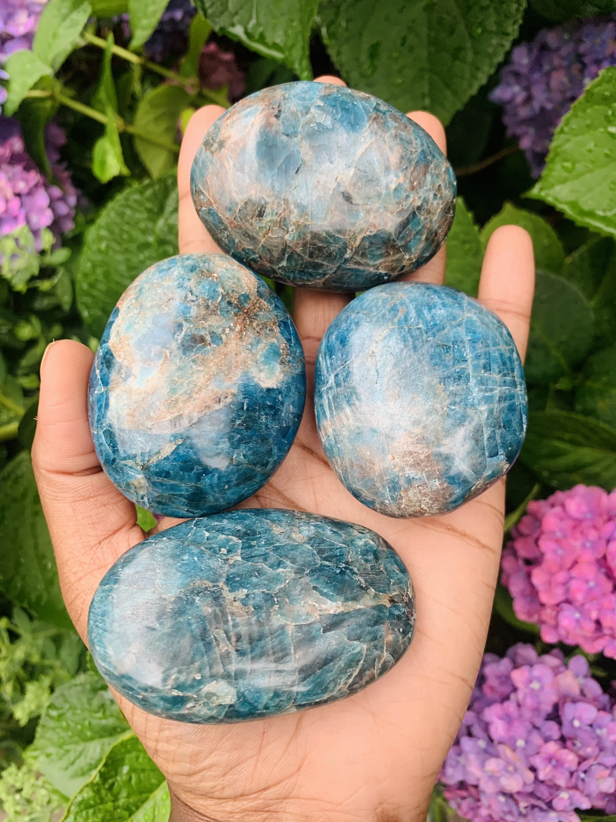 4AFF54C4-D44F-4245-AEDD-5CDCBBE204D0