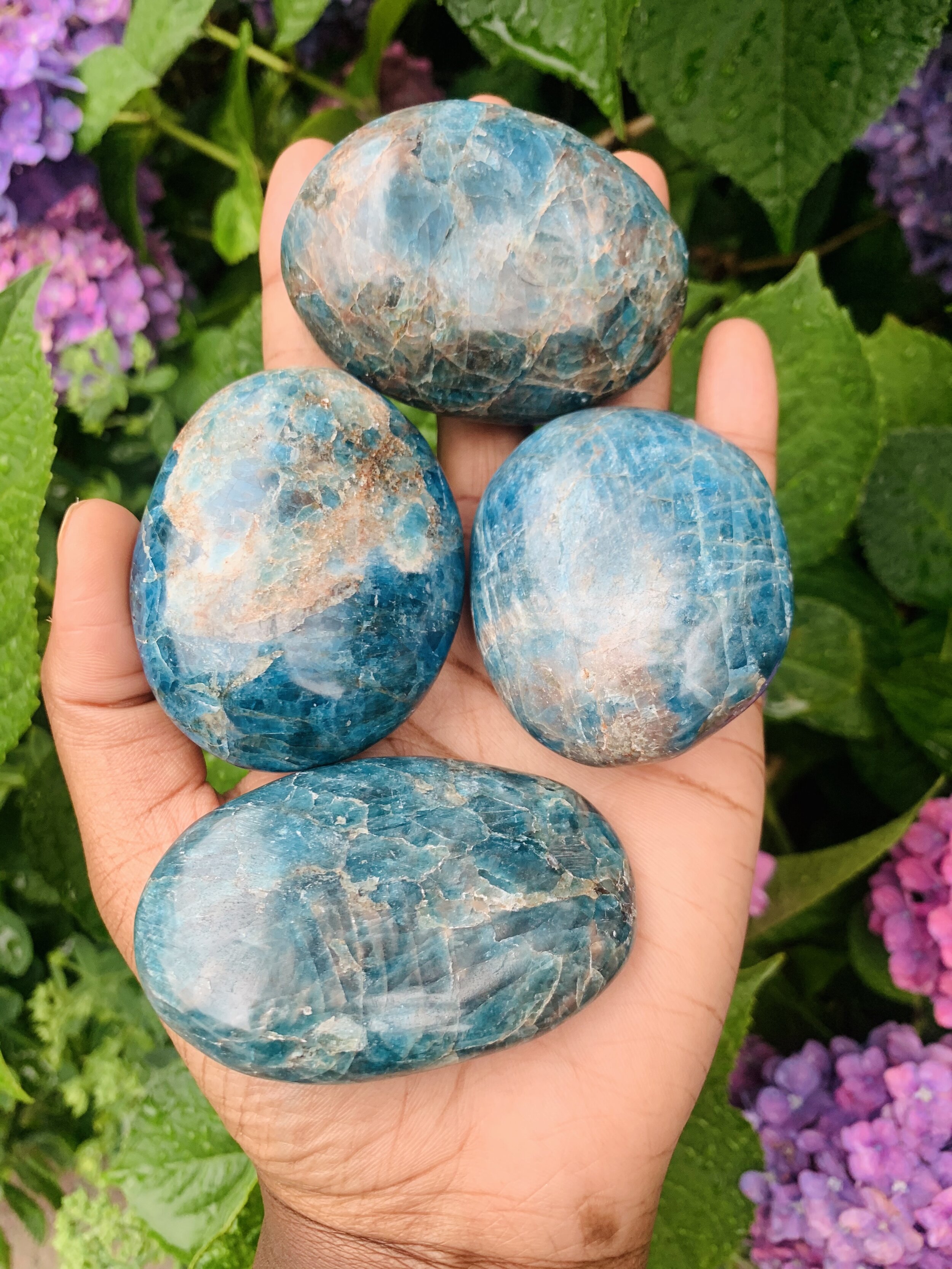 44CDFBC0-5281-4337-BDCC-95C3B7D42CD1