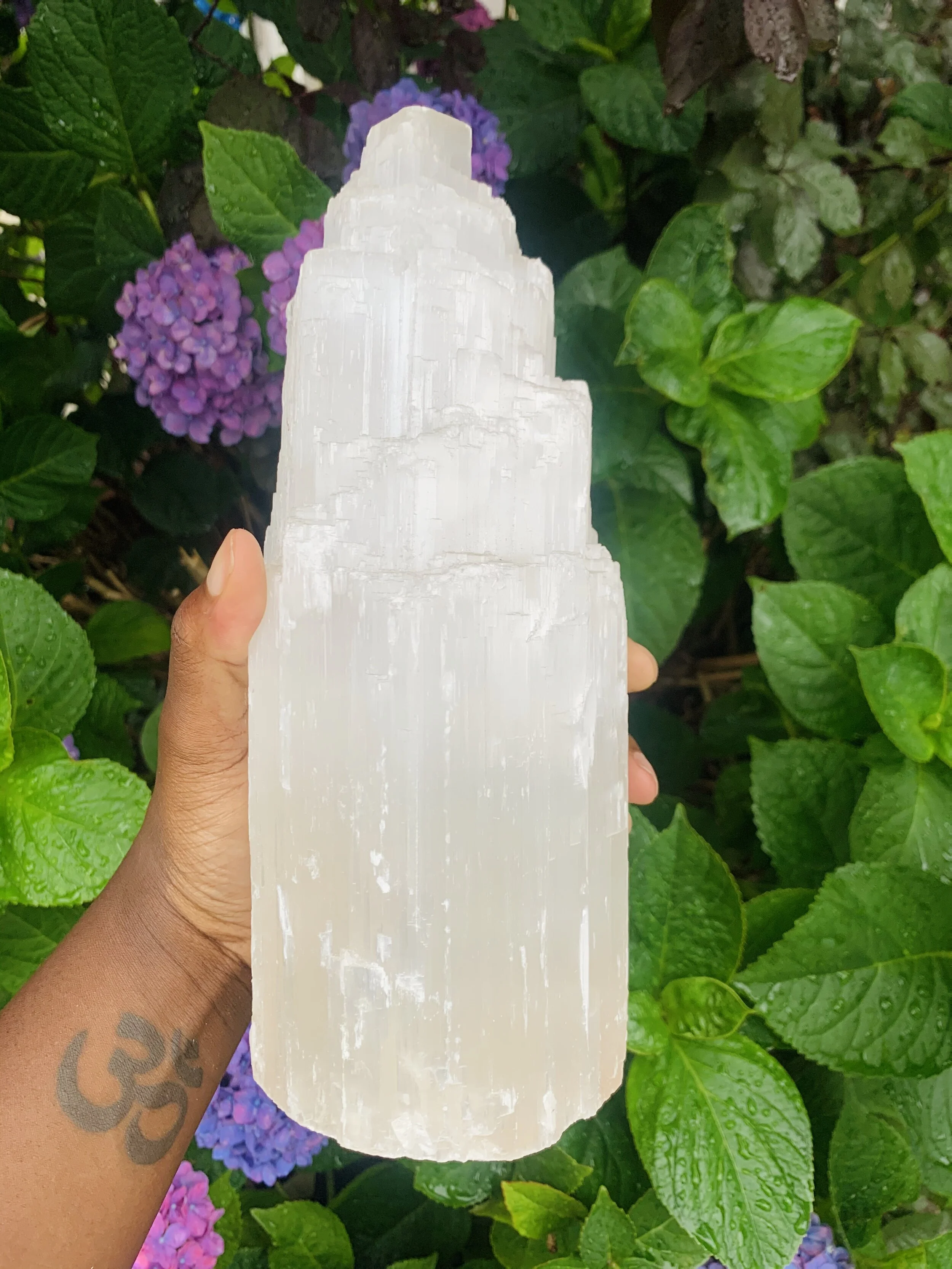 62548014-74BA-4A72-9FC3-14A2C72A45DC