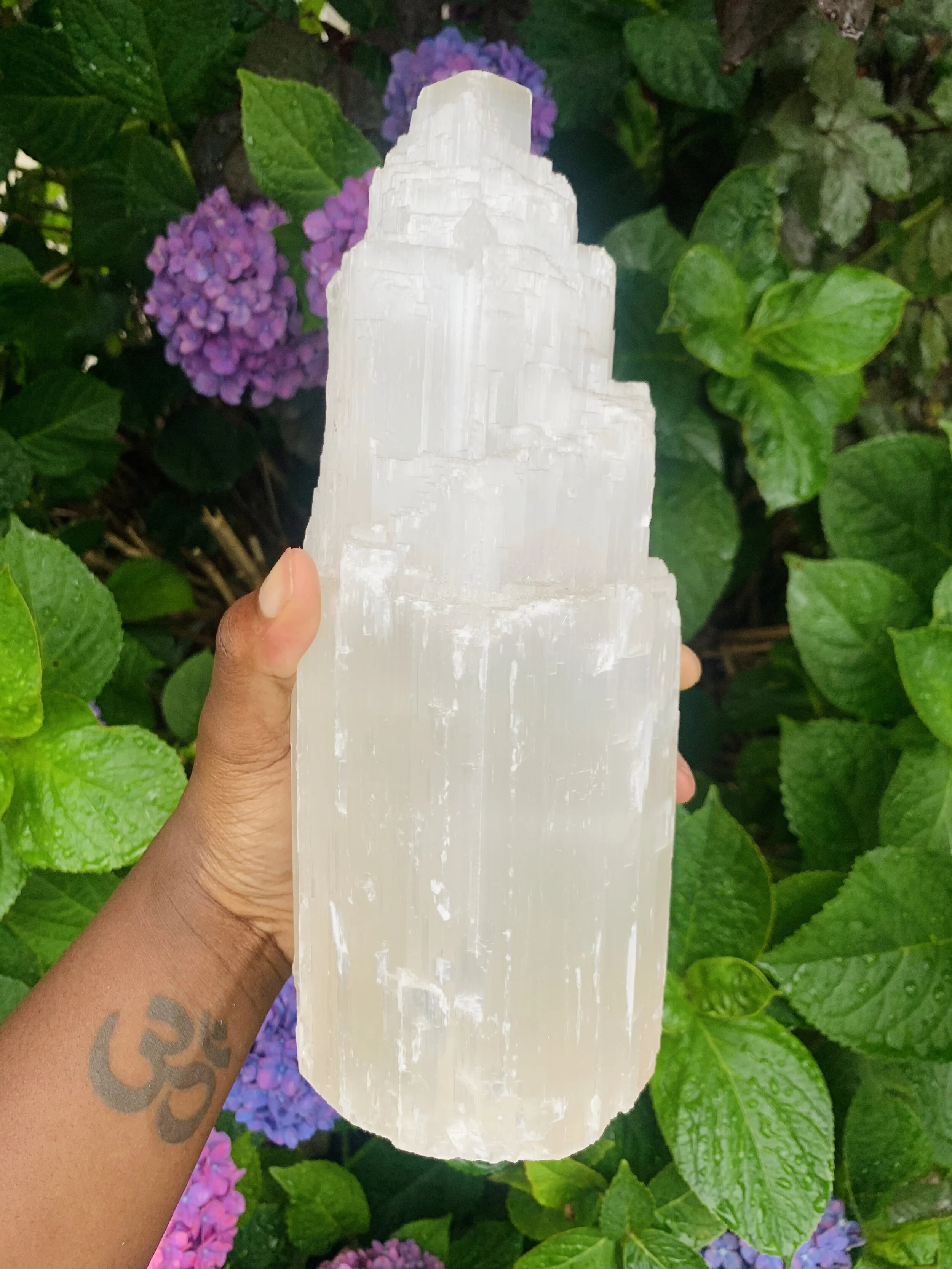 AF887F0A-AE1D-42A0-BD20-4191D7F9606B