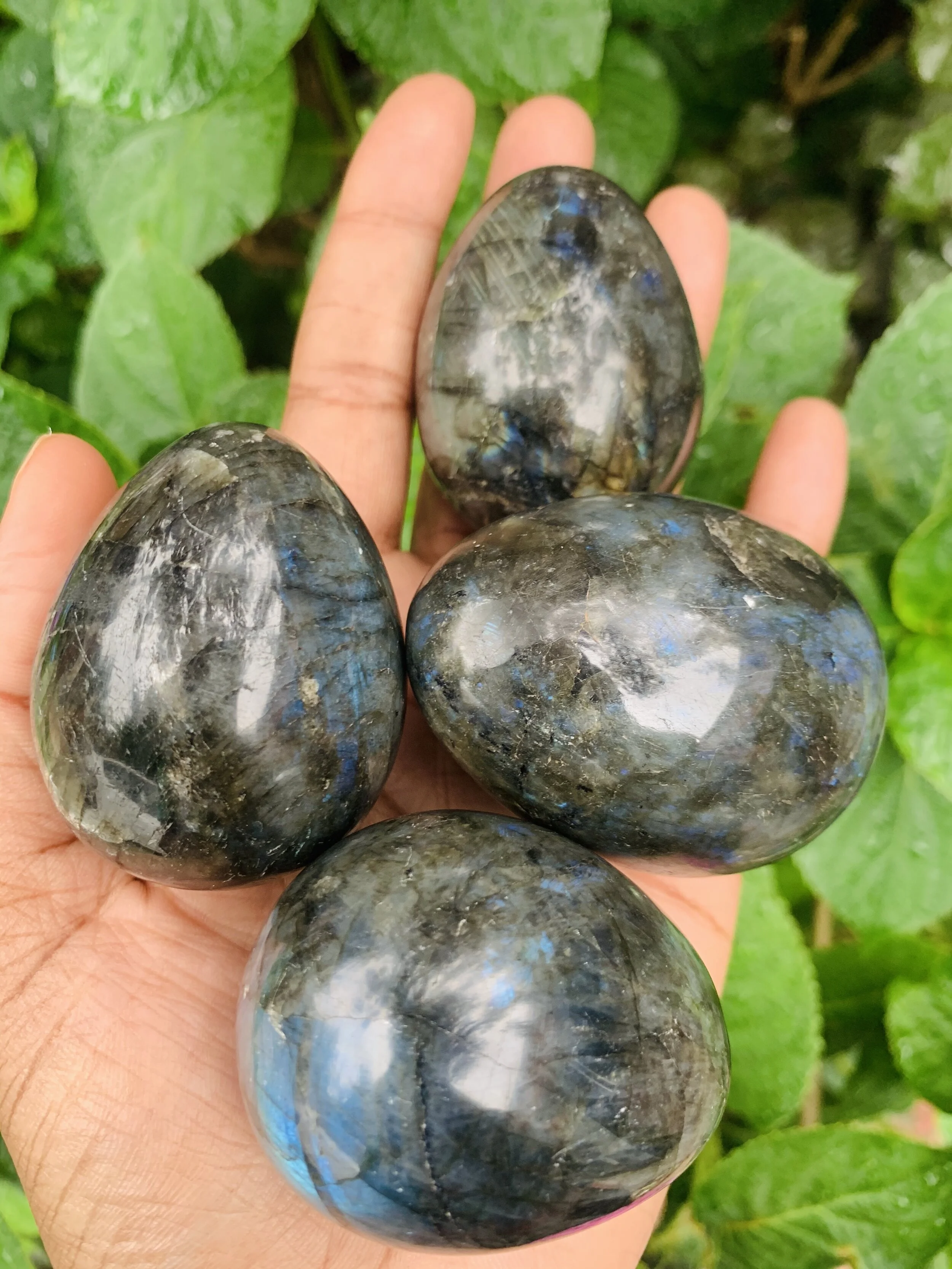 1714E5B5-E213-4048-8B19-C530FF51E2DC