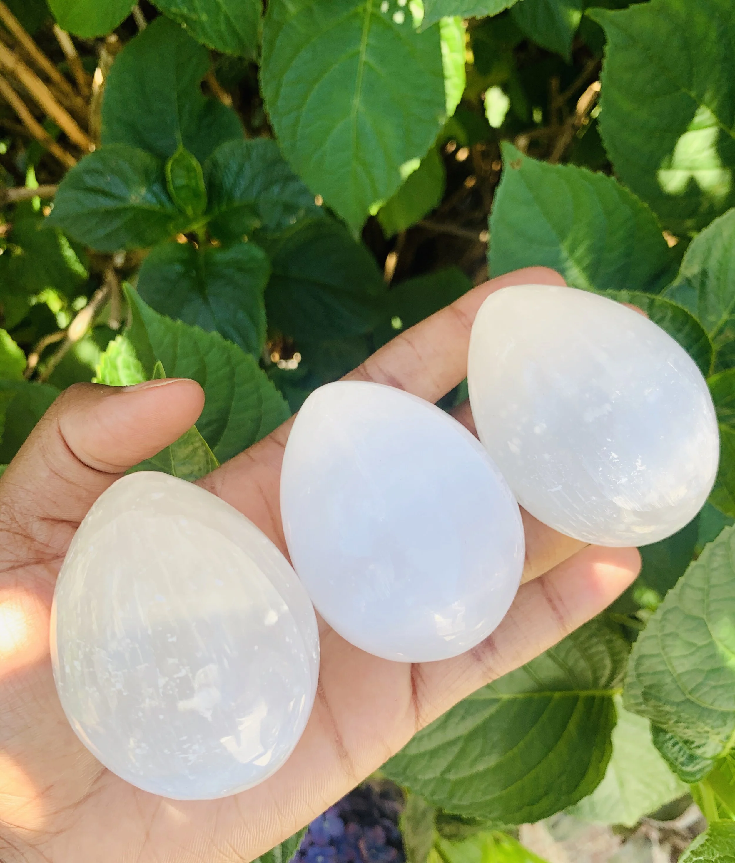 0498DEF1-A1FC-4337-A0CF-A5076E95666E