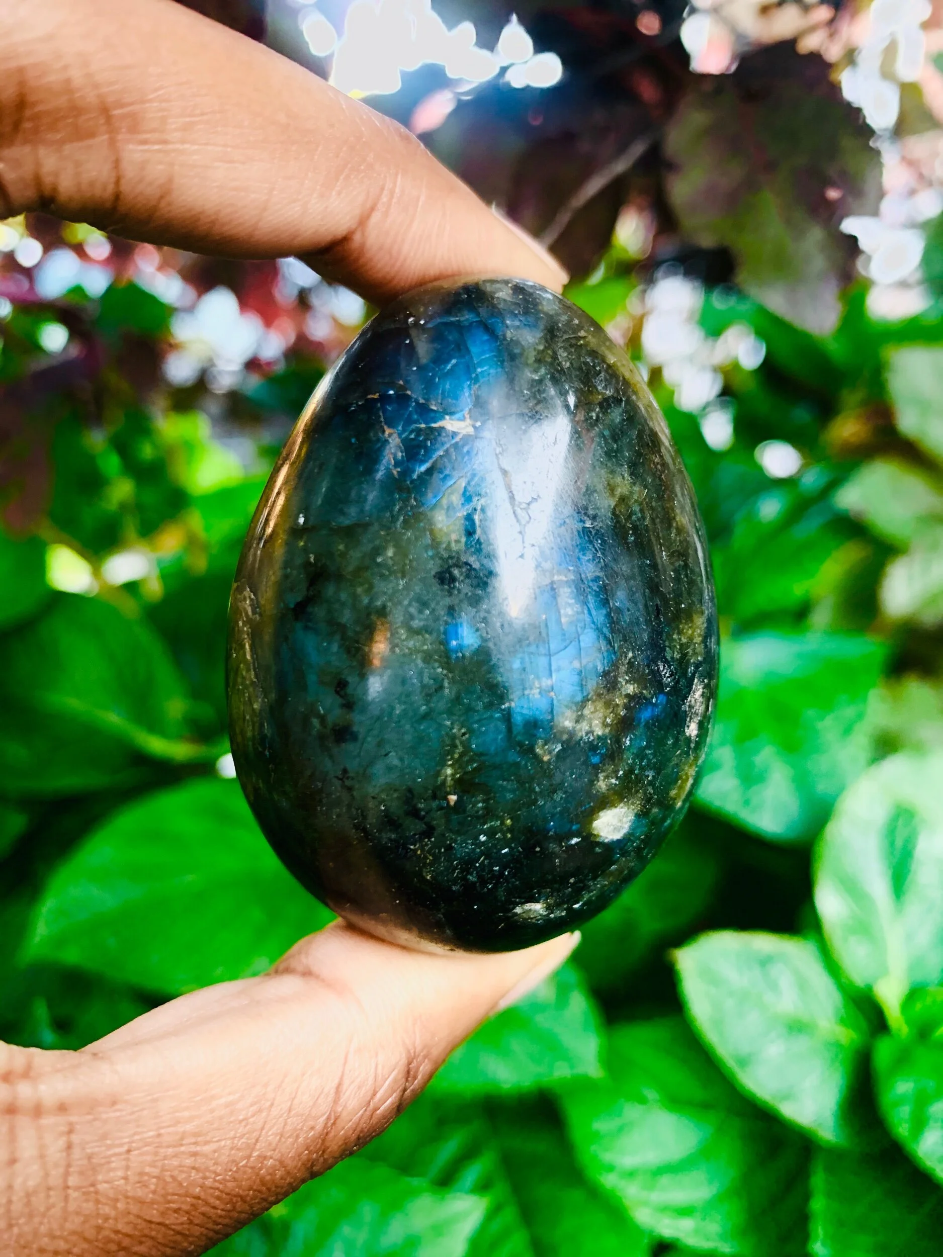 372DB2BC-3322-4A76-822F-F9B4AFBF4CC2