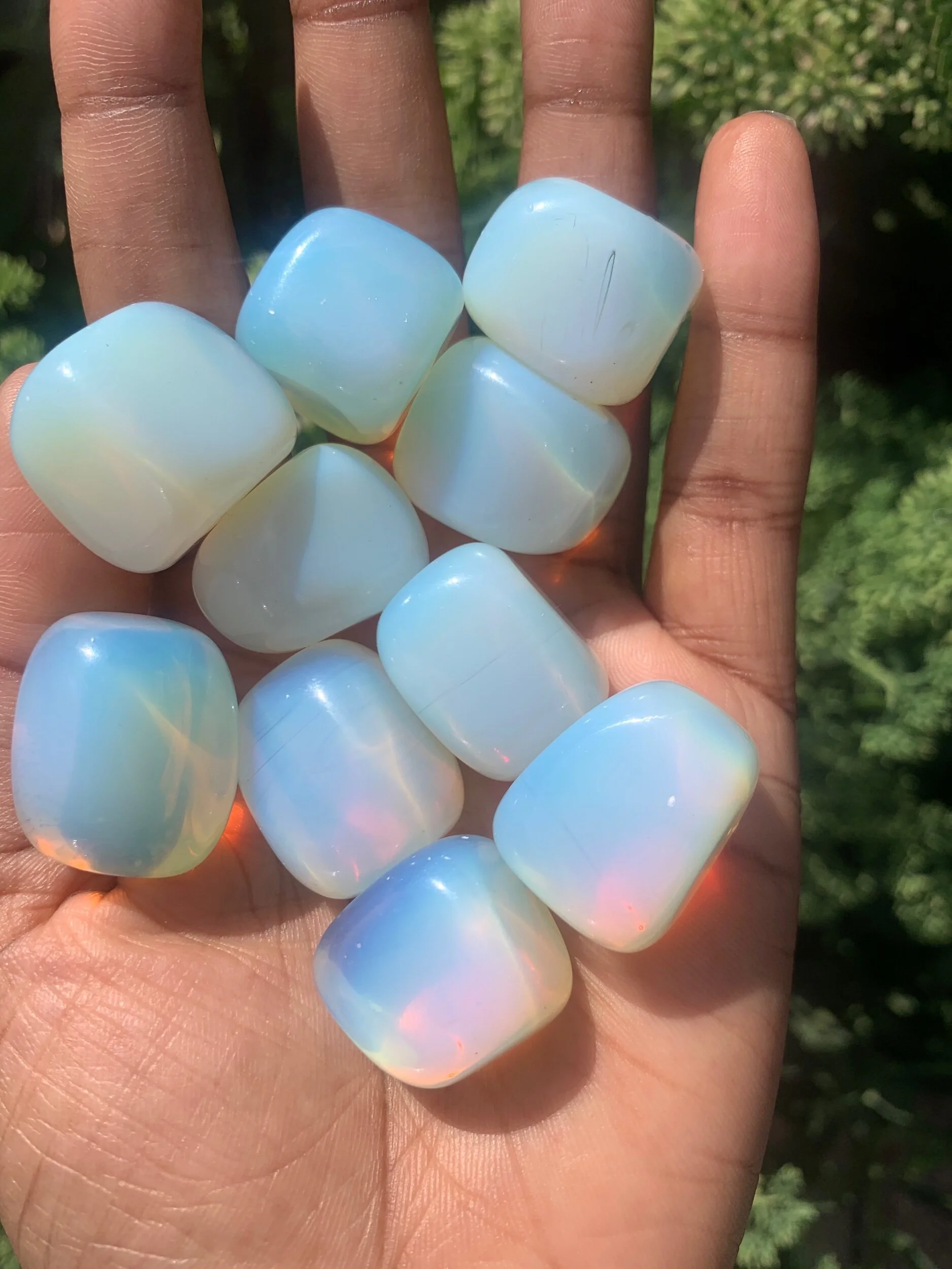 7164E7BB-7D7D-4284-A798-48784CF77850