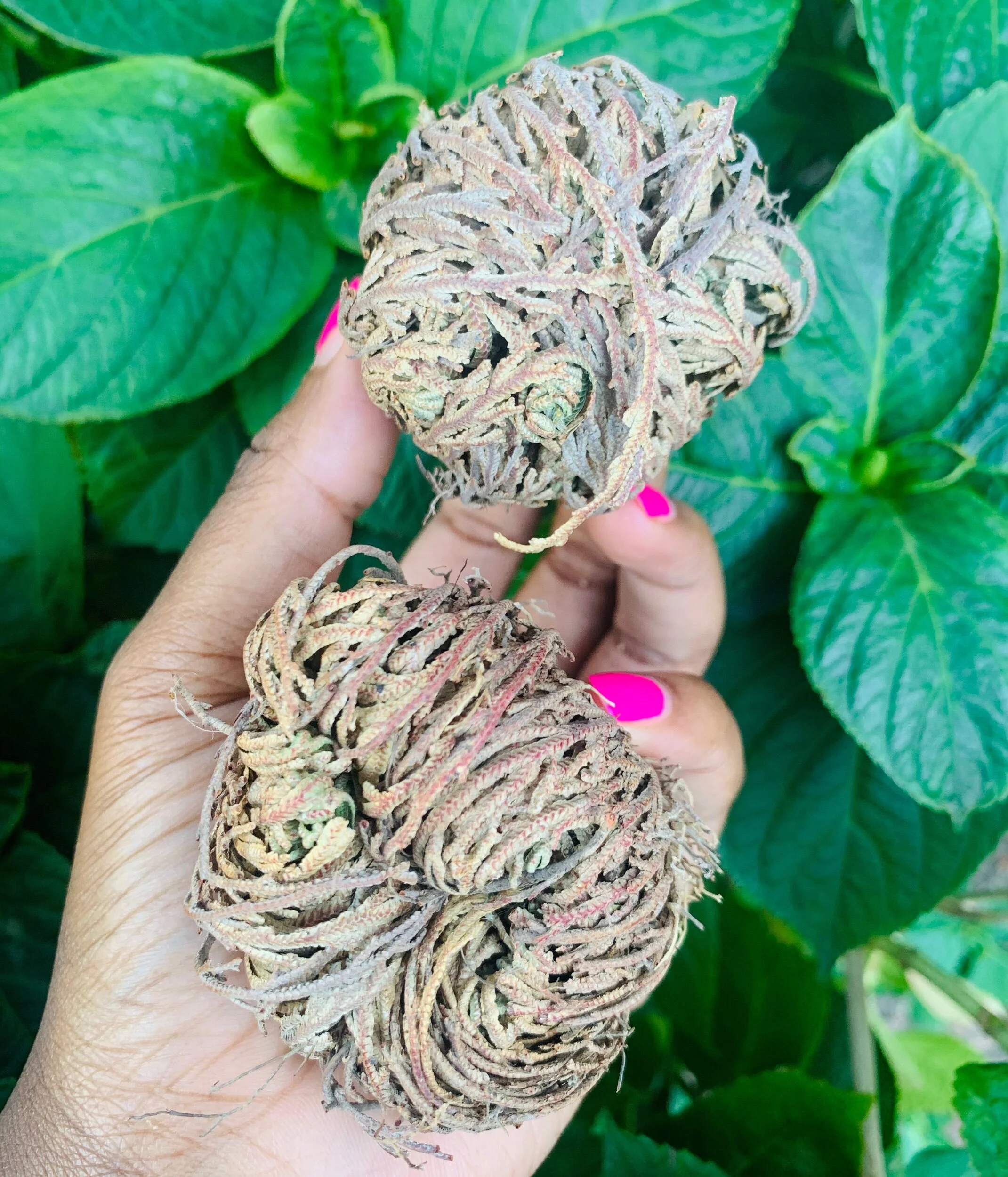 AF42A760-60AE-4D6D-9873-1024773E58ED