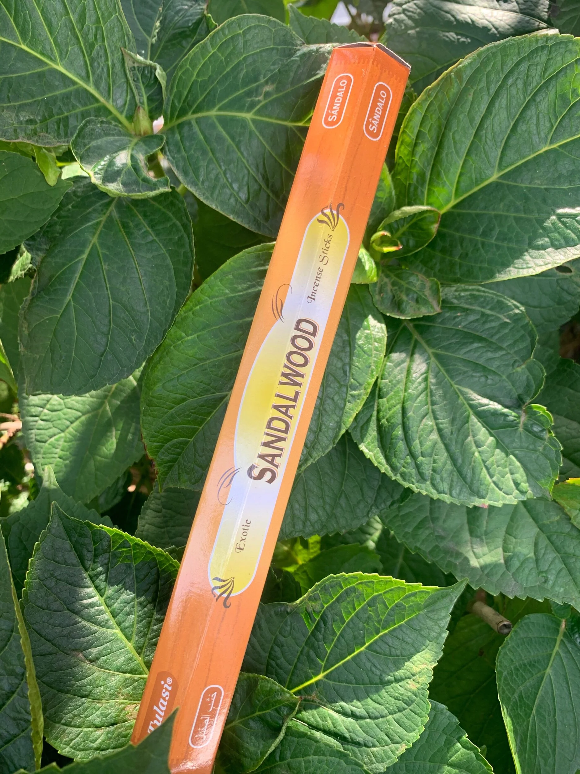 C125C6CA-FF6A-44D7-80D7-B8168ECC6AA0