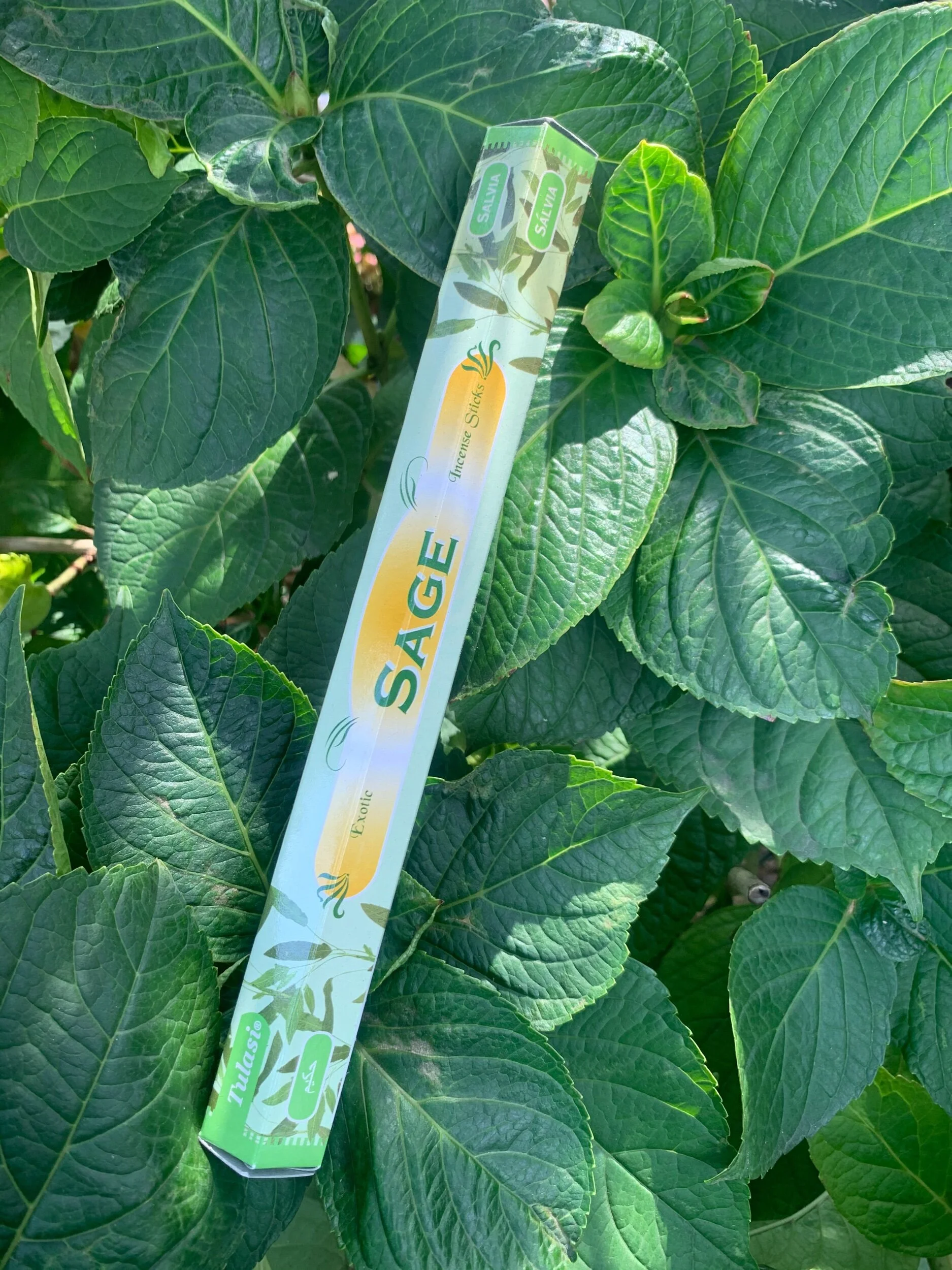 E66549F0-5543-4057-B838-1966129E8BB5