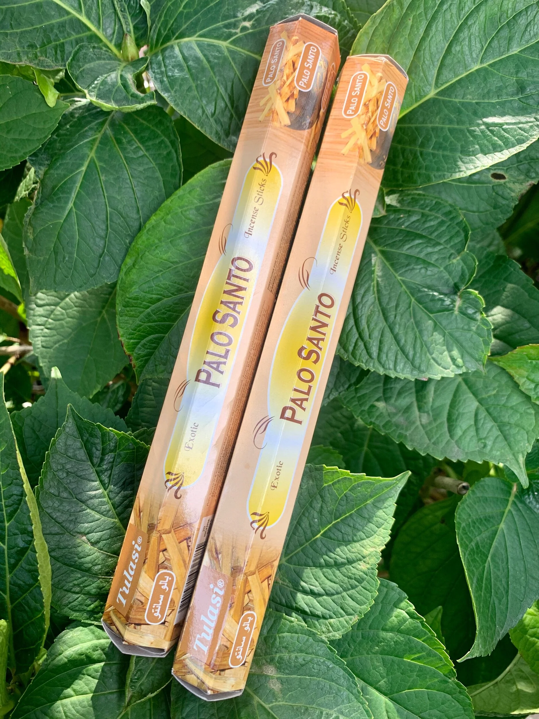 594188A5-ACC4-4A1C-AC28-34CD55089C5A