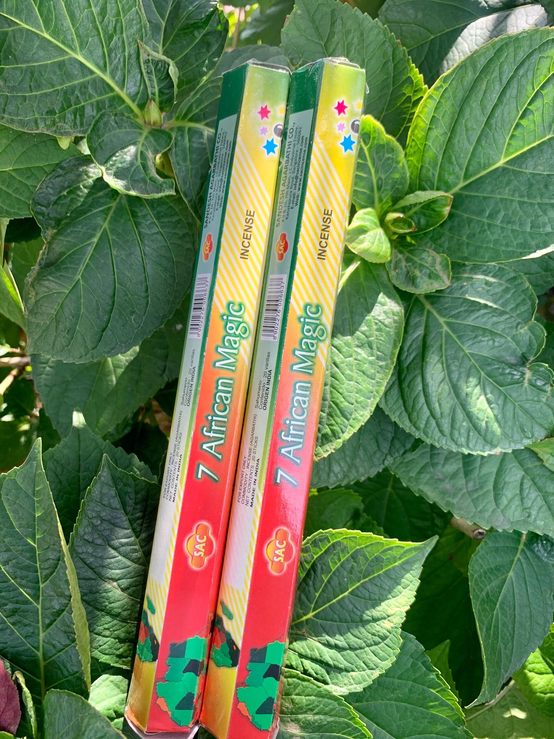 A18F009B-8EDF-431E-B01E-691C8B2A0CCF